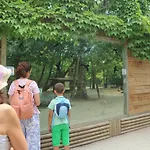 Vera 利尼亚诺萨比亚多罗